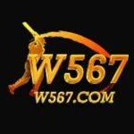 W567 Game