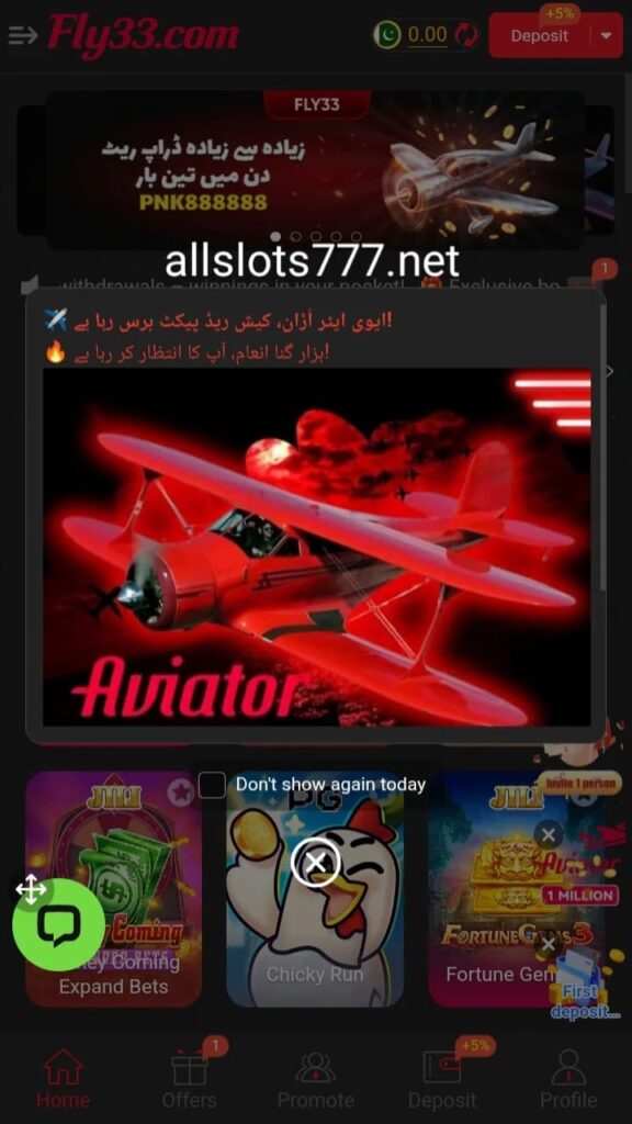 Fly33 Game
