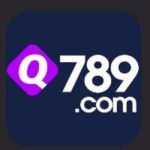 Q789 Game