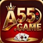 A55 Game