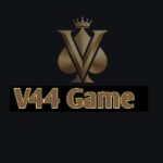 V44 Game