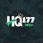HQ177 Game