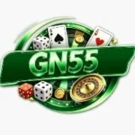 GN55 Game