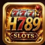 H789 Game