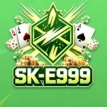 E999 Game