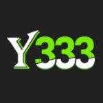 Y333 Game